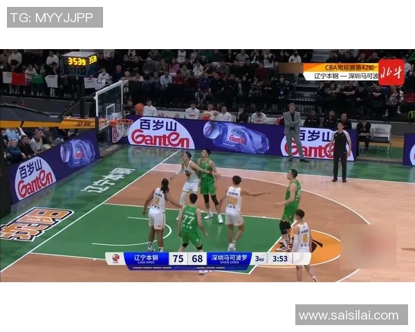 辽宁对阵深圳精彩视频回放全程回顾与赛后分析尽在此处