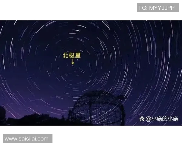 北方星与南方钢铁精彩对决直播全程回顾与分析